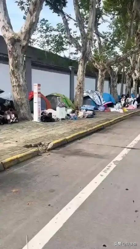 酒店选帐篷”：一场年轻态的旅行革命澳门新葡京入口00后十一长假“弃