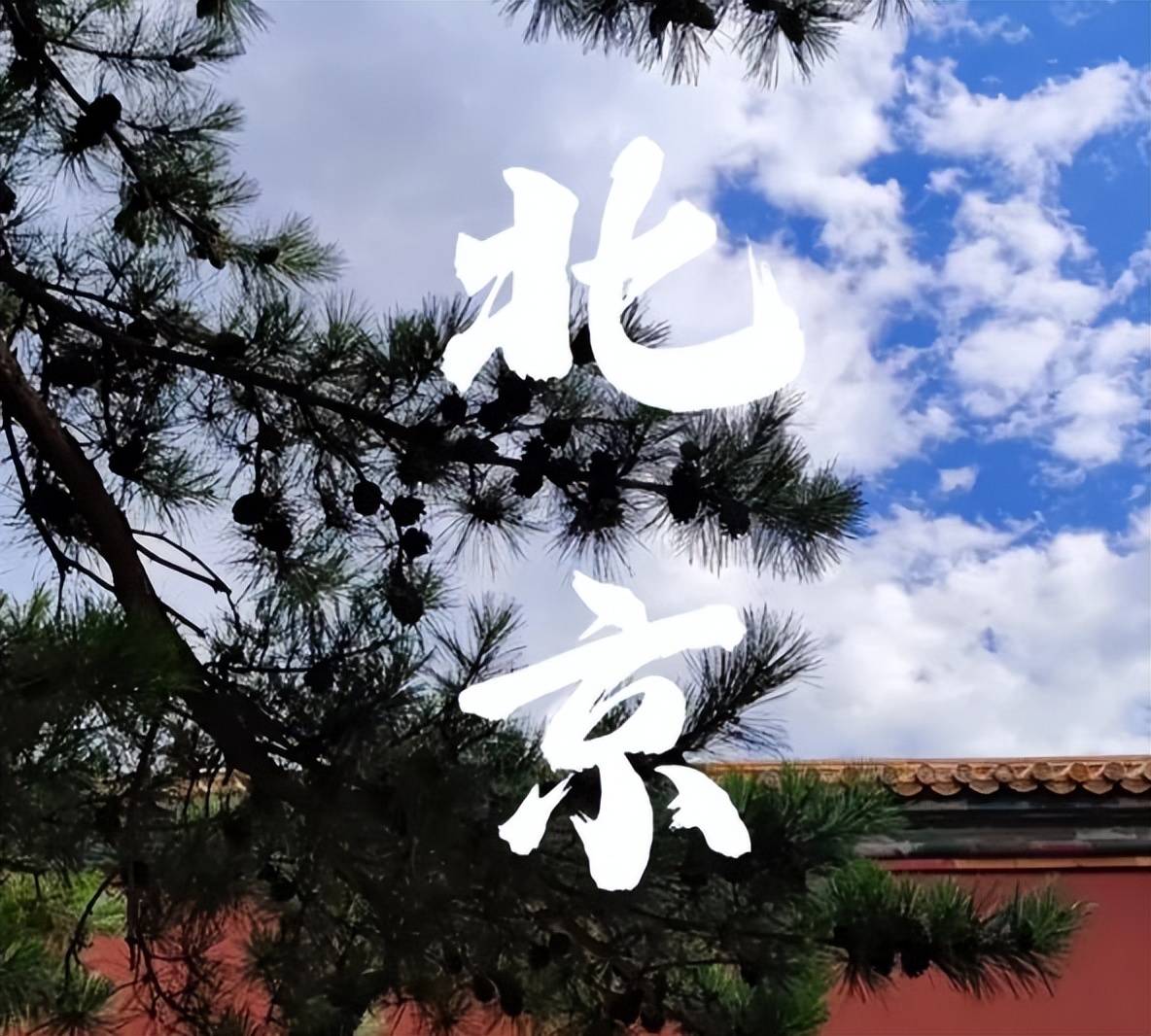 10权威榜单真靠谱零差评零投诉（文旅局认证）澳门新葡京2026年度北京靠谱旅行社TOP(图2)